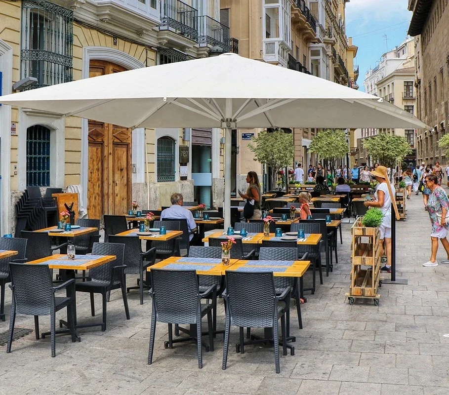 imagen parasol palma